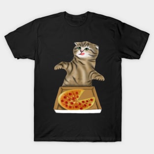 Pizza Cat Lovers Gift T-Shirt